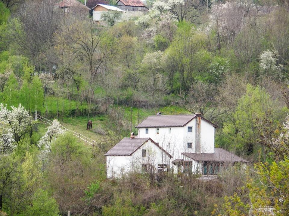 Casa Piscul Lupului Vila Pucioasa Exterior foto