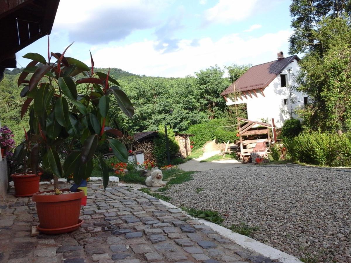 Casa Piscul Lupului Vila Pucioasa Exterior foto