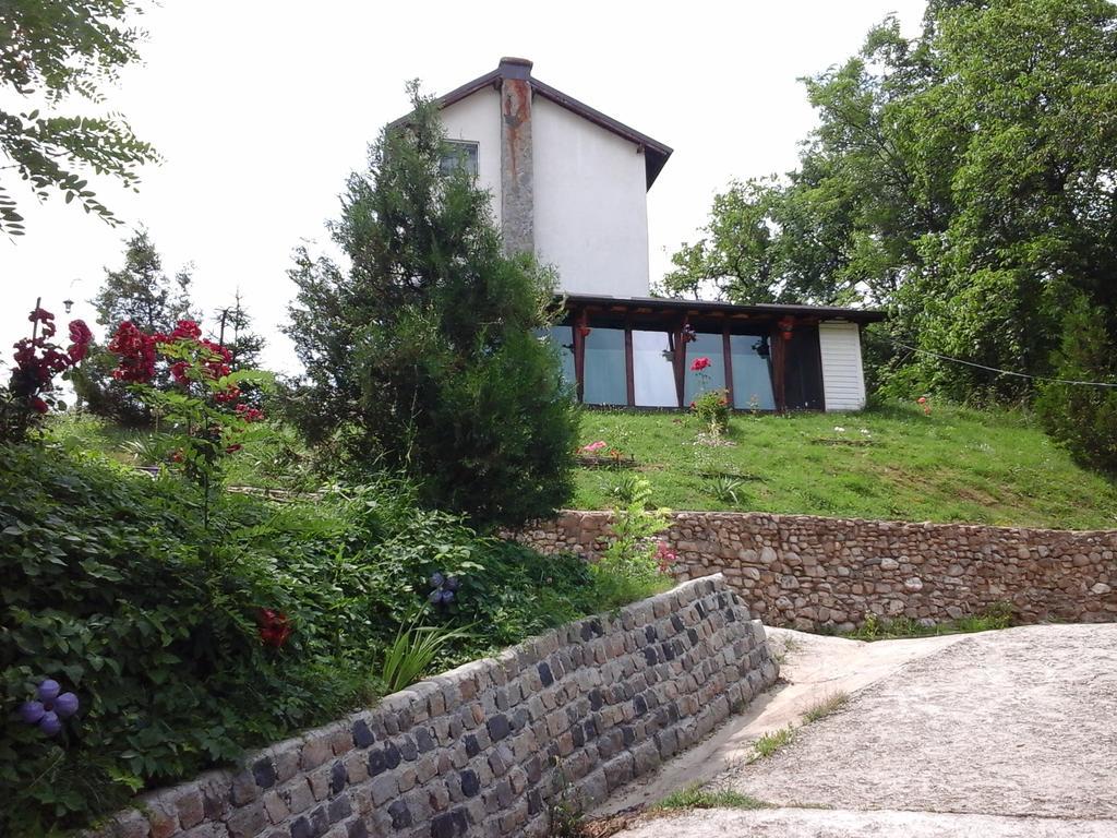 Casa Piscul Lupului Vila Pucioasa Exterior foto