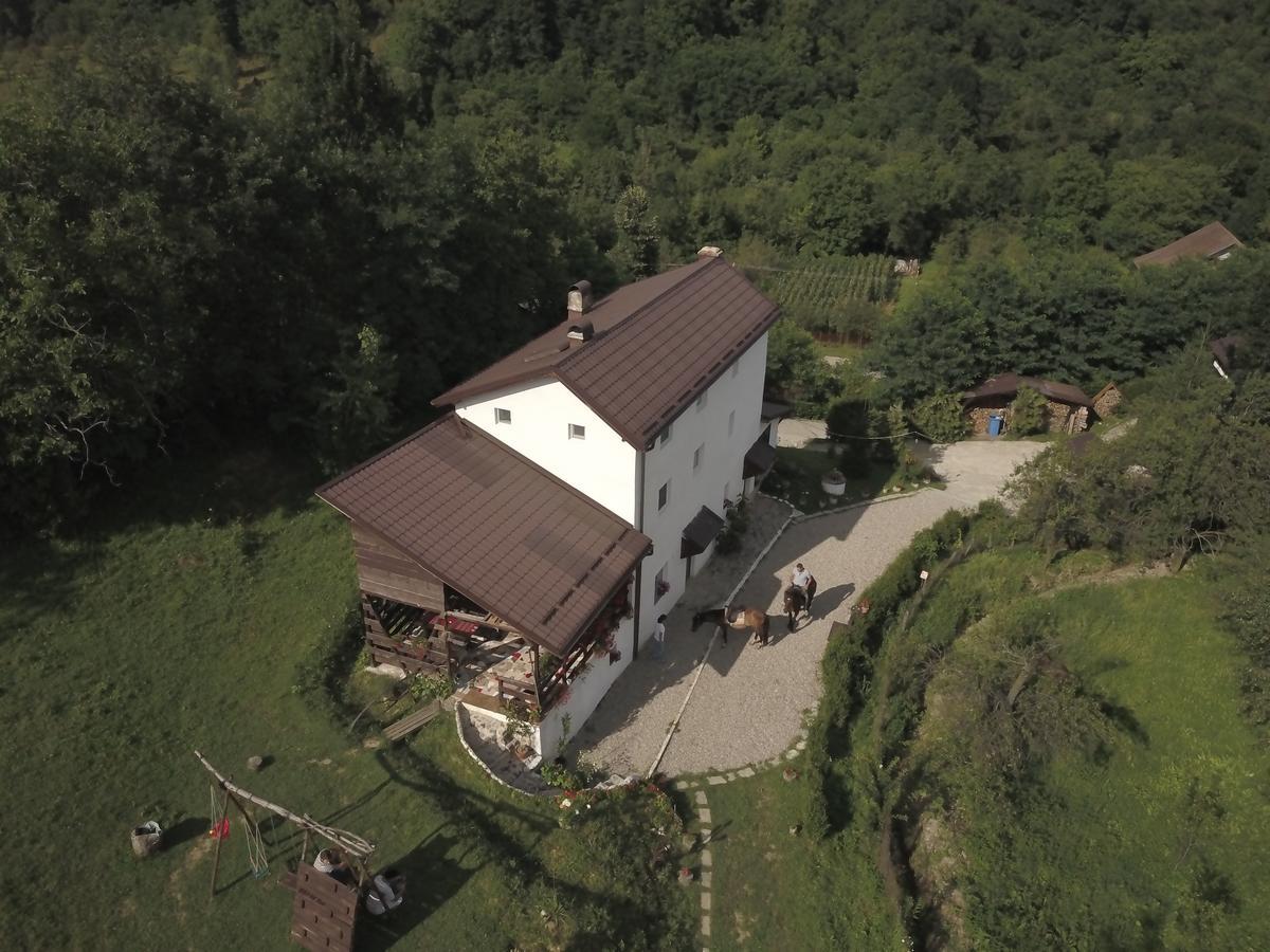 Casa Piscul Lupului Vila Pucioasa Exterior foto